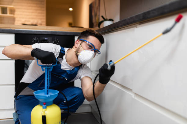 Best Cockroach Control Services  in Riviera Beach, MD